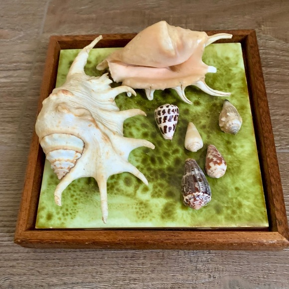 Framed Oceanside Wall Decor Seashell - Picture 6 of 10